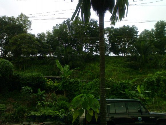 The site of proposed Station 11 and the power line